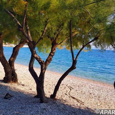 Apartments Ferdo Živogošće Εξωτερικό φωτογραφία