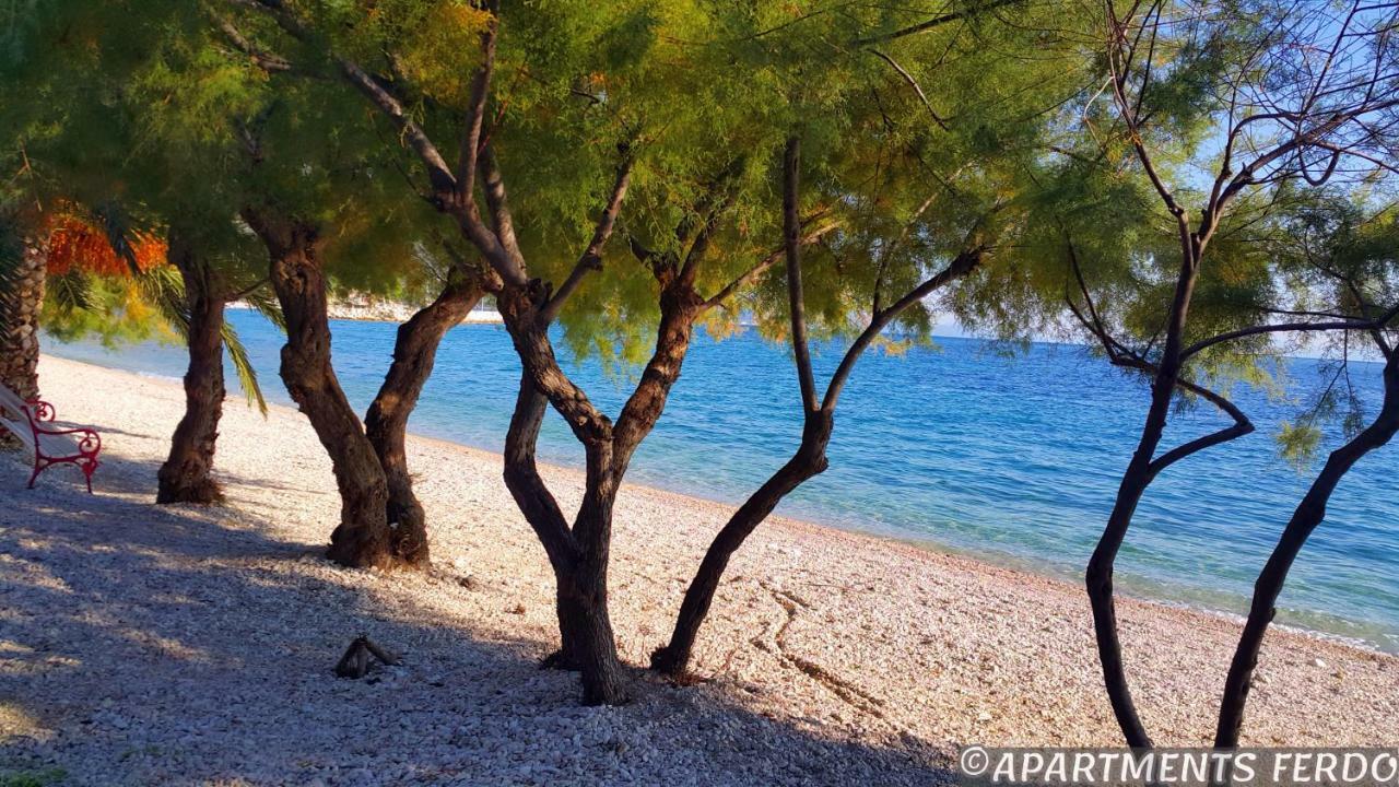 Apartments Ferdo Živogošće Εξωτερικό φωτογραφία